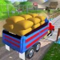 货物印度人卡车3D(Cargo Indian Truck 3D)