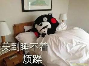 男女污污的视频