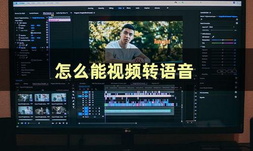 视频声音太快,高效捕捉视频信息精华